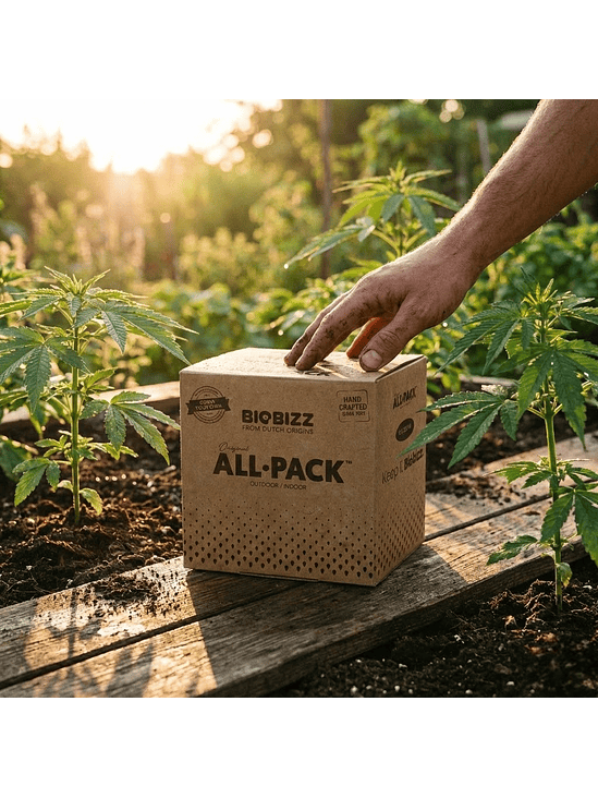 BIOBIZZ ALL PACK OUTDOOR 250 ML (6×250 ml) 2