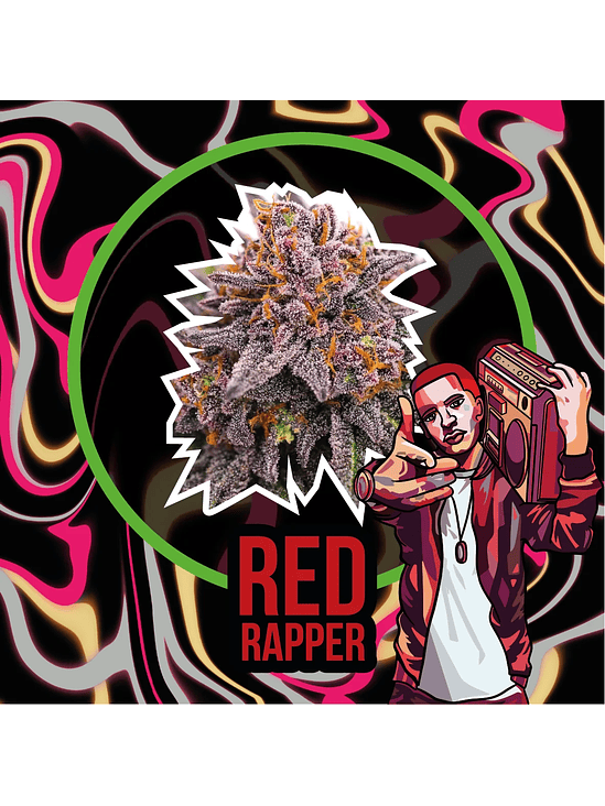 Red Rapper Auto X2-Delirium Seeds 3