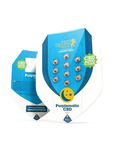 Purplematic Cbd Auto X3-Royal Queen Seeds 2