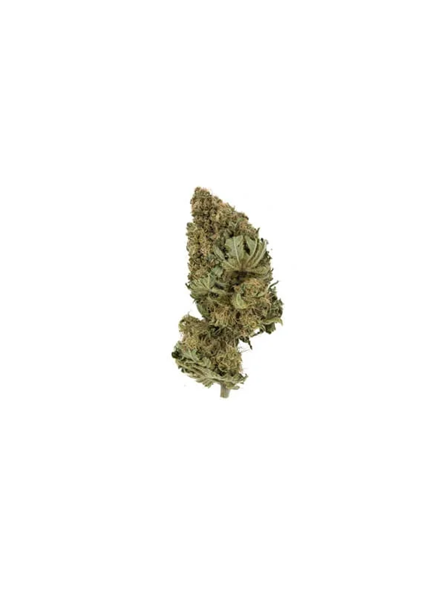 Pineapple Kush Fem -Royal Queen Seeds (X10/X3/X1) 3