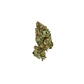 Pineapple Kush Fem -Royal Queen Seeds (X10/X3/X1) - Miniatura 3