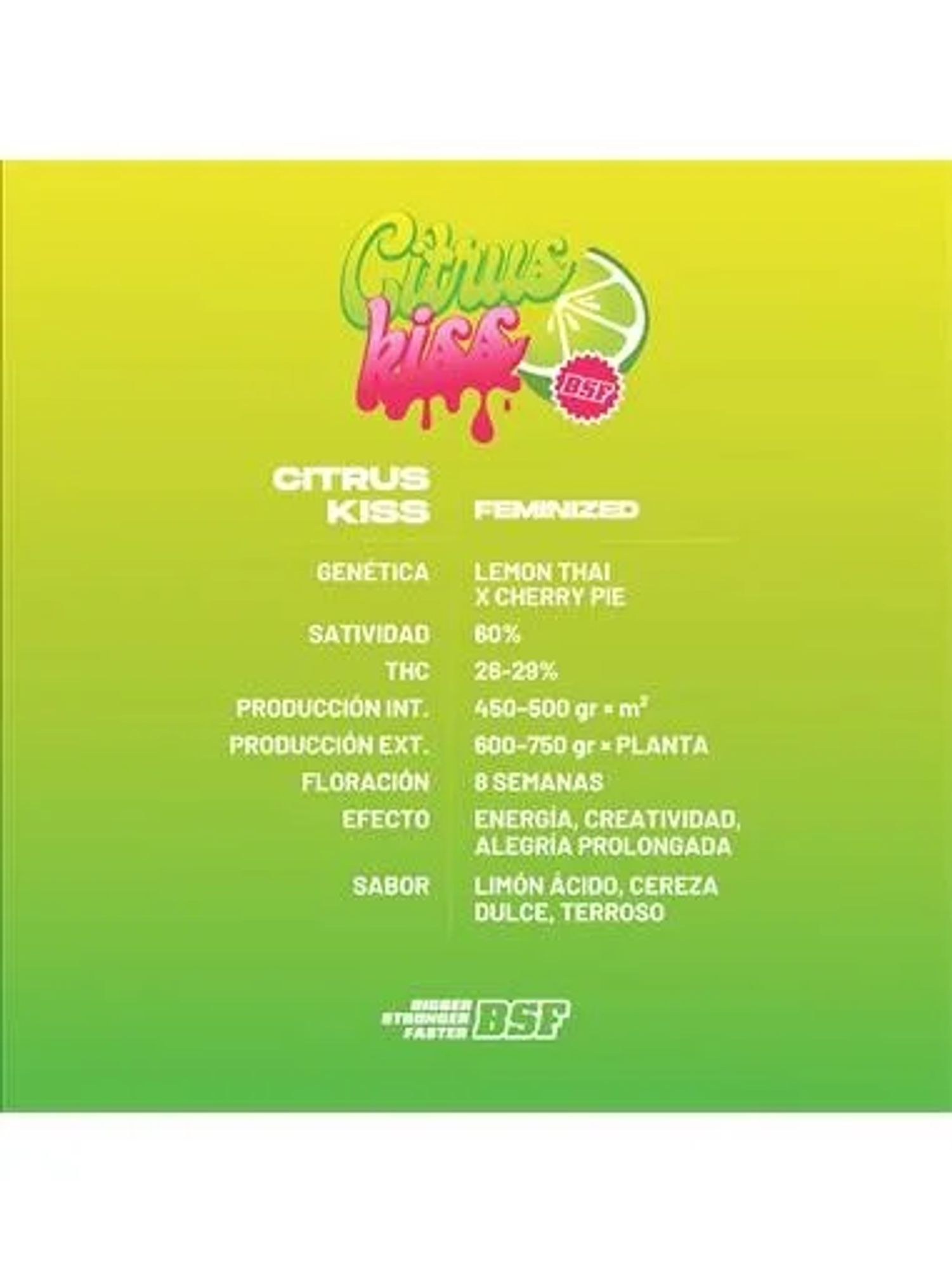 Citrus Kiss - Bsf (X12/X4/X2) 4