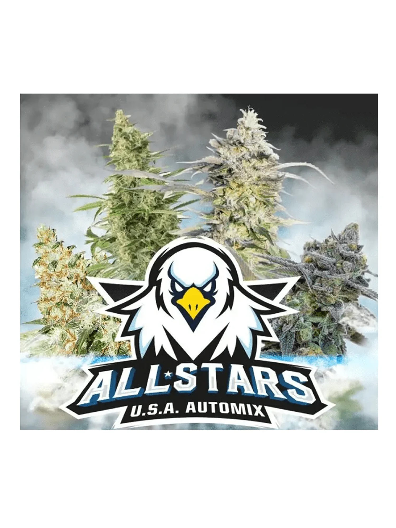 All Stars Usa Mix Auto -Bsf (X12/X4) 3