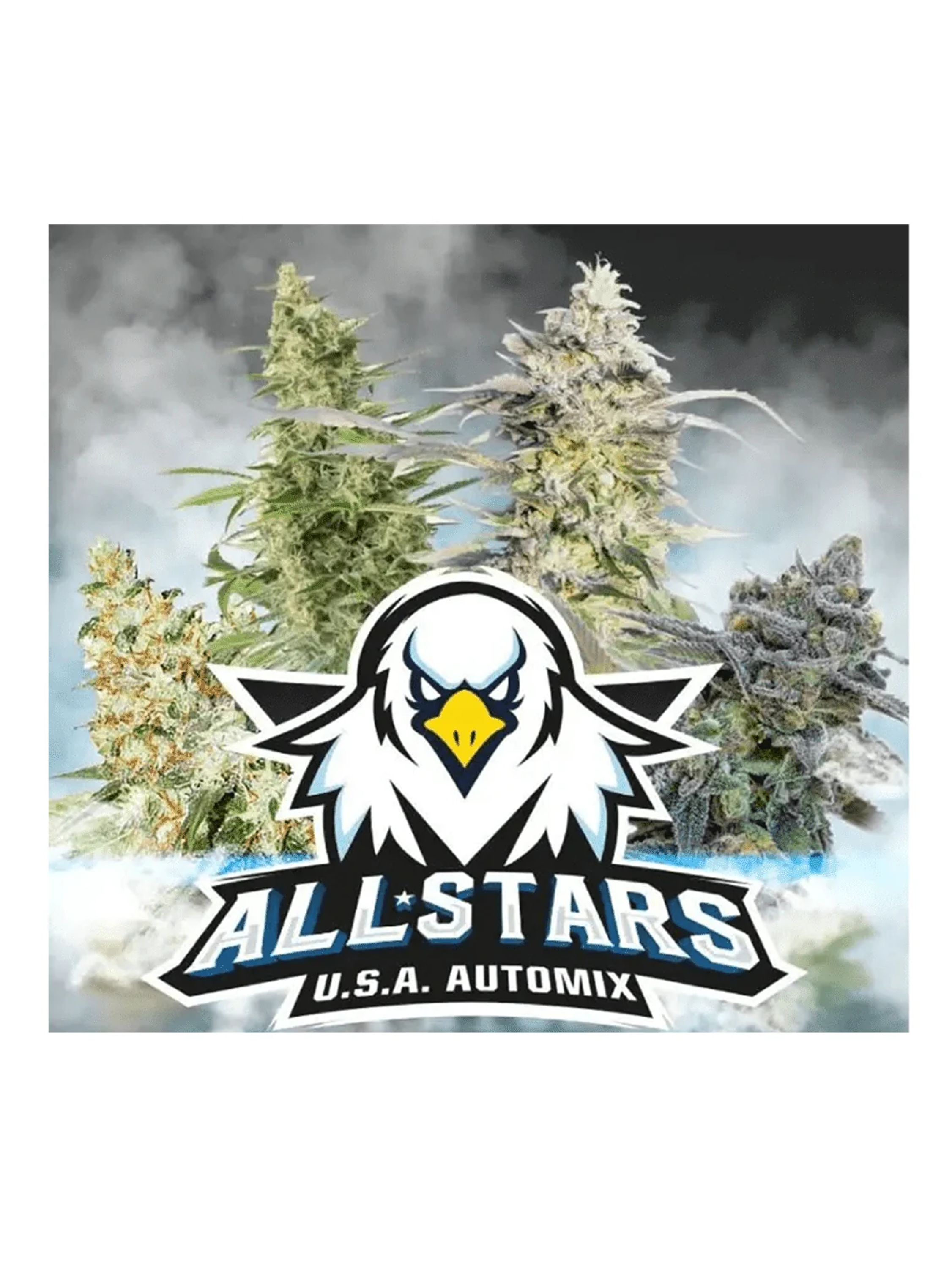 All Stars Usa Mix Auto -Bsf (X12/X4) 3