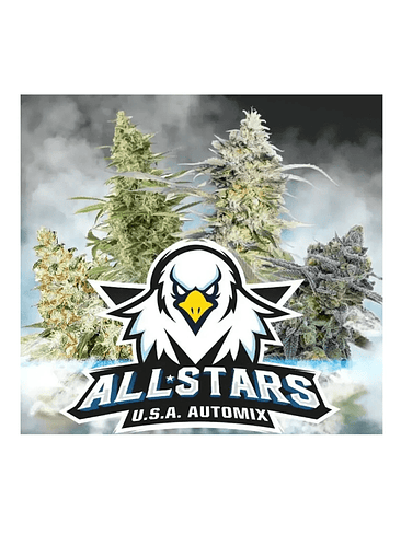 All Stars Usa Mix Auto -Bsf (X12/X4) 3