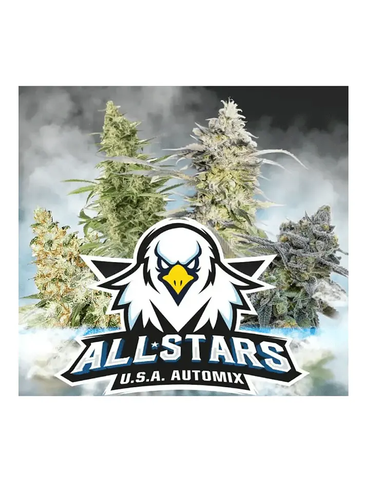 All Stars Usa Mix Auto -Bsf (X12/X4) 3