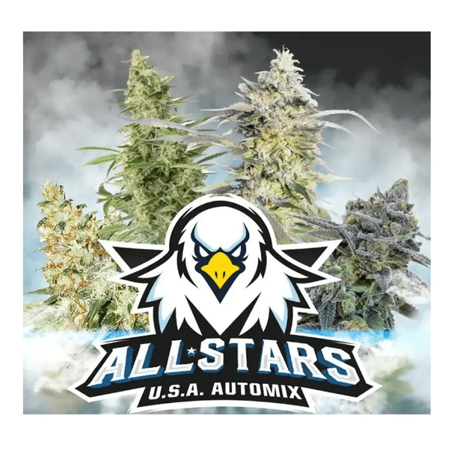 All Stars Usa Mix Auto -Bsf (X12/X4) 3