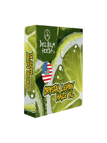 Crystal Lemon Haze Xl Auto -Delirium Seeds (X4/X2/X1) 4