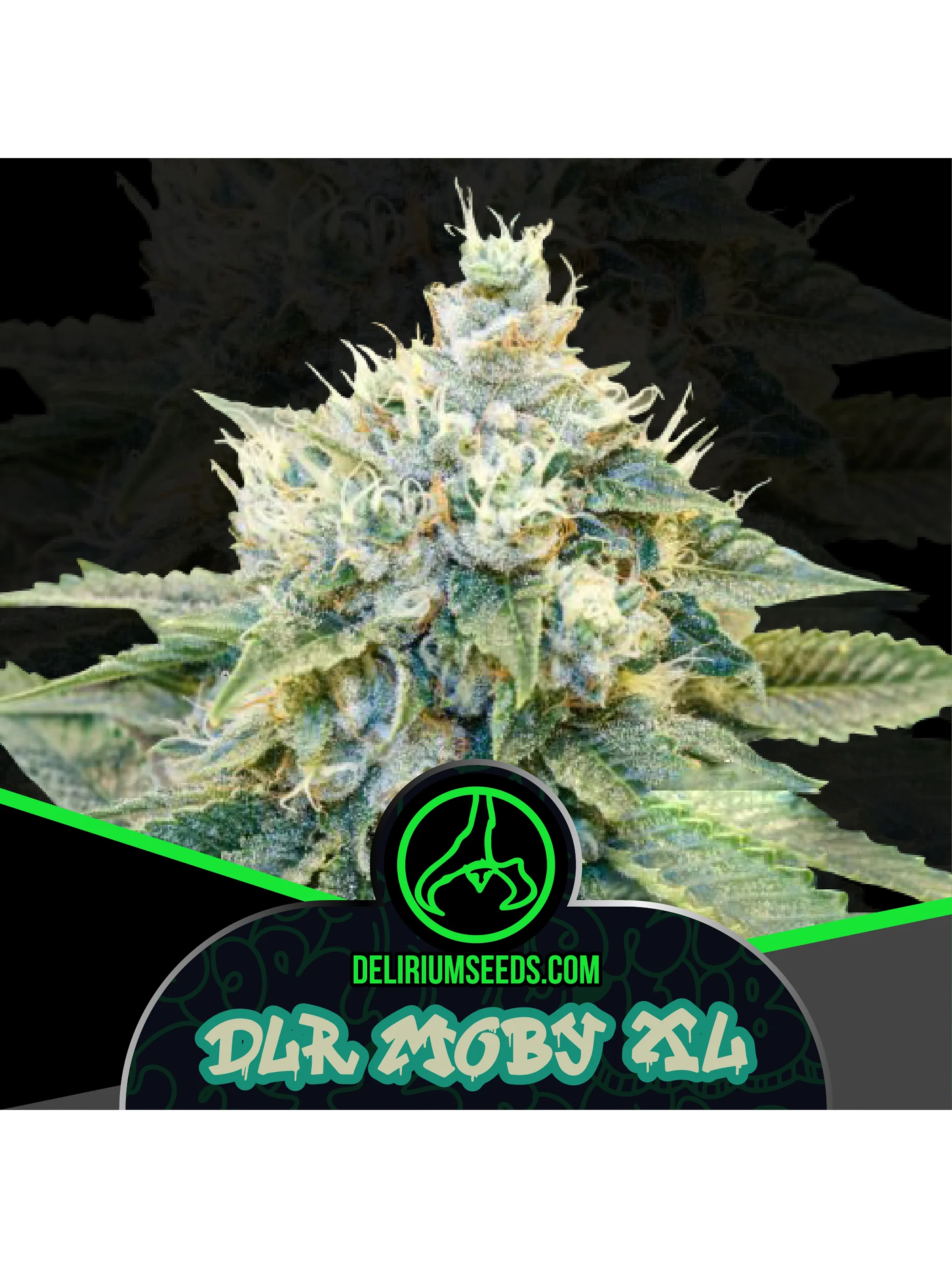 Dlr Moby Xl Fem -Delirium Seeds (X4/X2/X1) 2
