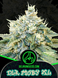 Dlr Moby Xl Fem -Delirium Seeds (X4/X2/X1) - Miniatura 2