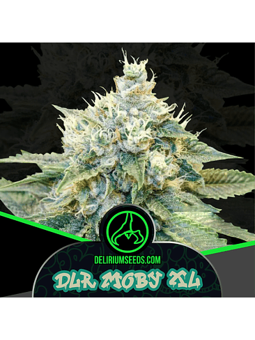Dlr Moby Xl Fem -Delirium Seeds (X4/X2/X1) 3