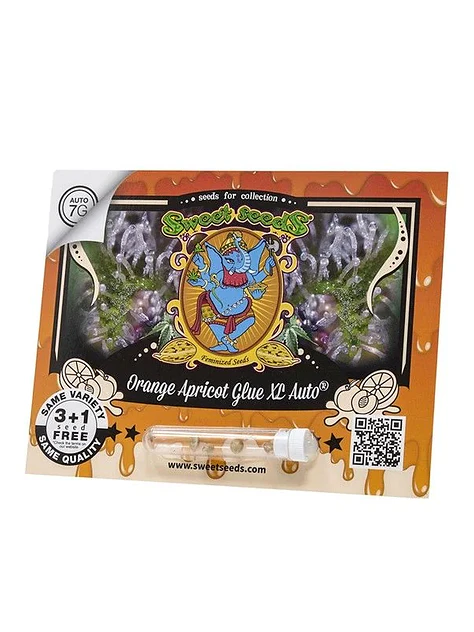 Orange Apricot Glue Xl Auto -Sweet Seeds (X100/X25/X3+1) 2