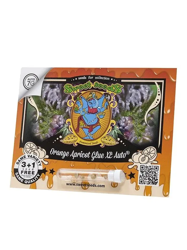 Orange Apricot Glue Xl Auto -Sweet Seeds (X100/X25/X3+1) 2