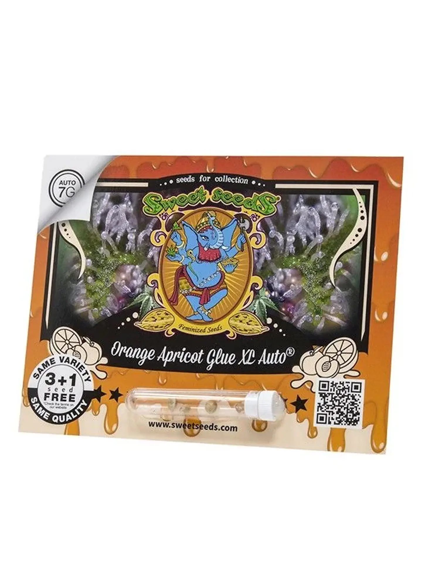 Orange Apricot Glue Xl Auto -Sweet Seeds (X100/X25/X3+1) 2