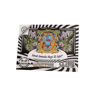 Sweet Amnesia Haze Xl Auto X25-Sweet Seeds