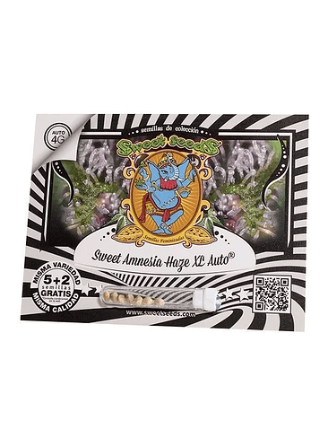 Sweet Amnesia Haze Xl Auto X25-Sweet Seeds 2