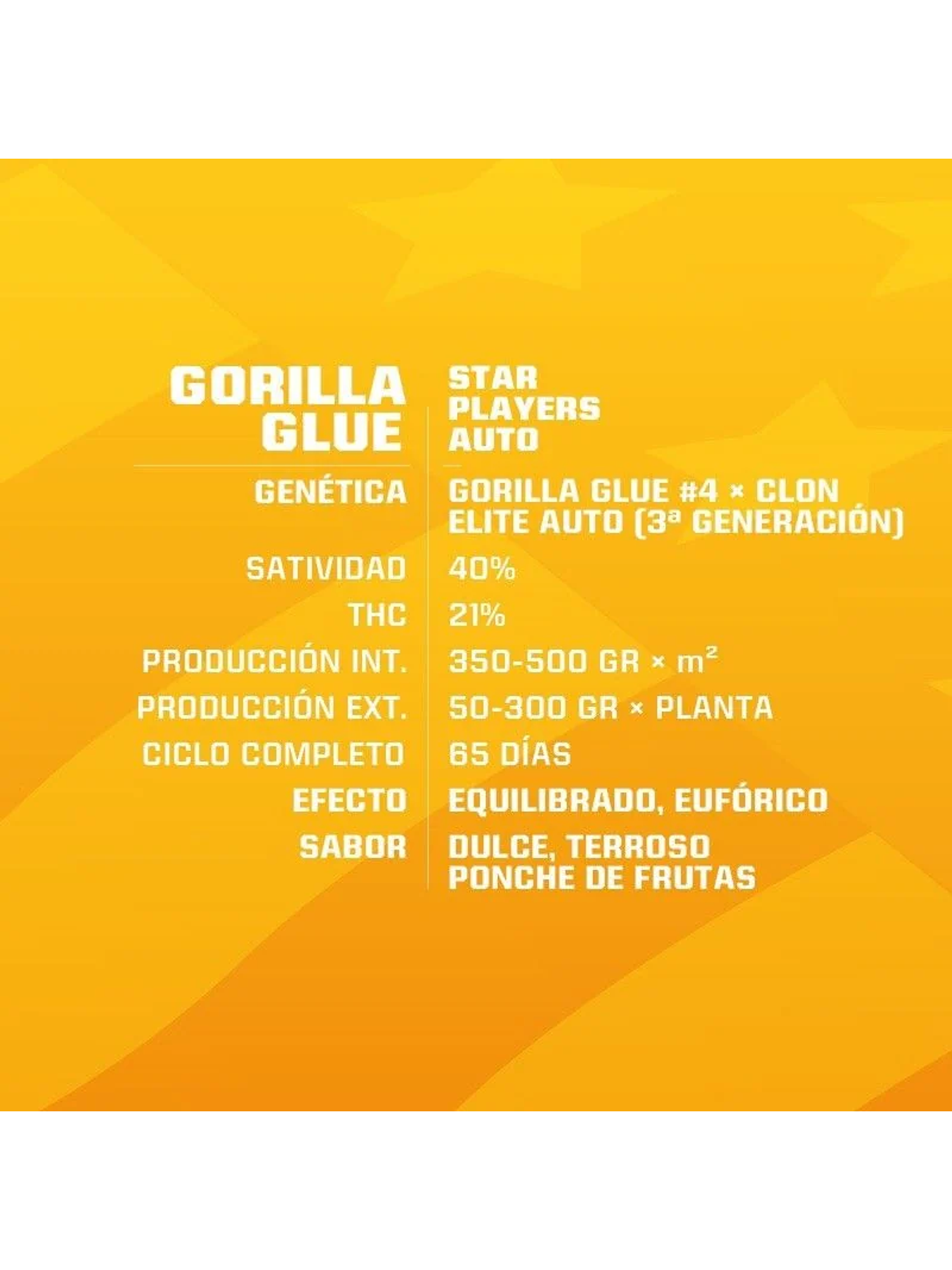 Gorilla Glue Auto Gk -Bsf (X12/X4/X2) 5