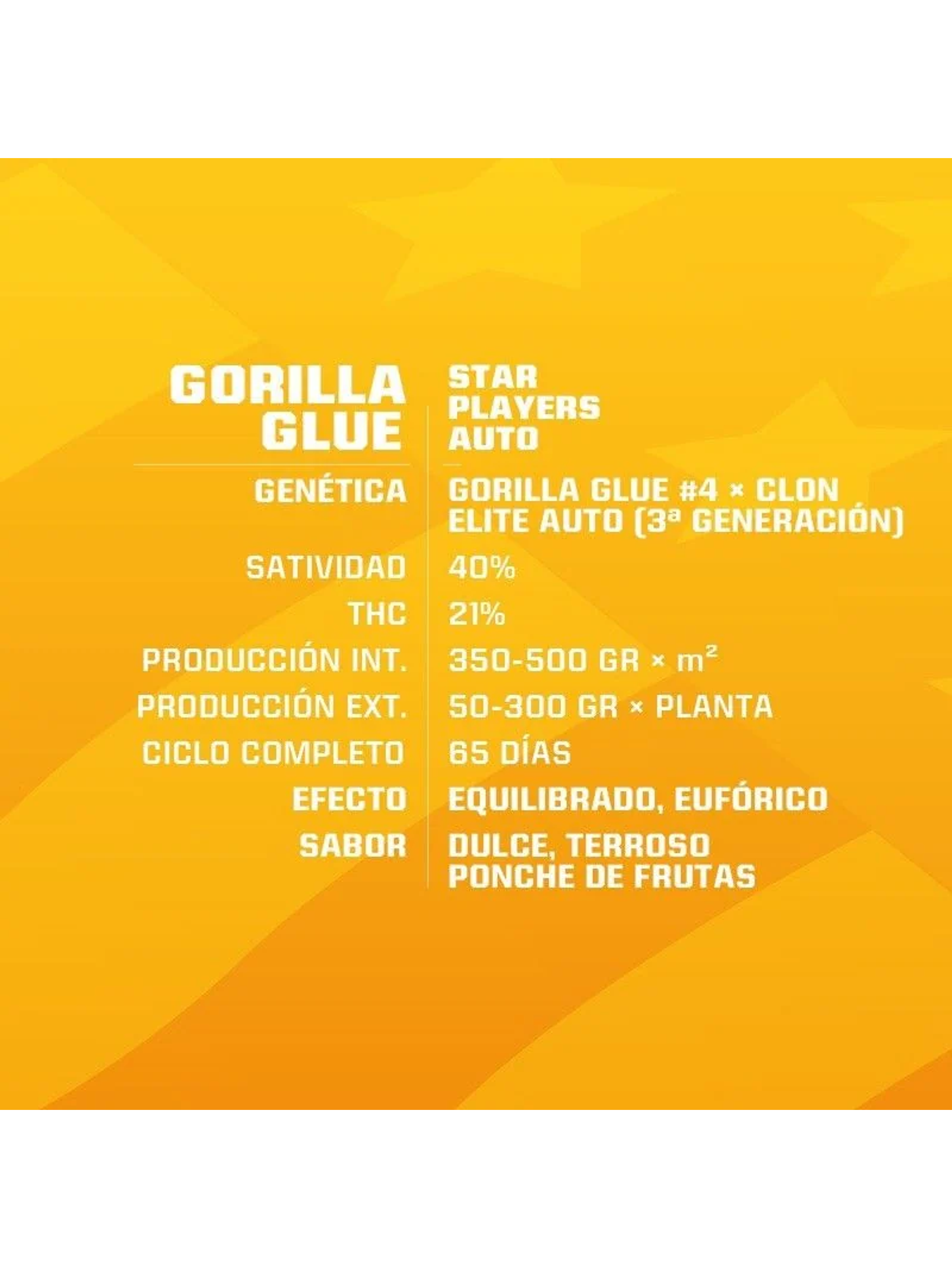 Gorilla Glue Auto Gk -Bsf (X12/X4/X2) 5