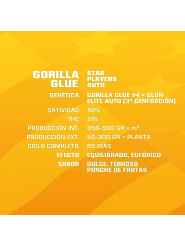 Gorilla Glue Auto Gk X12-Bsf 5