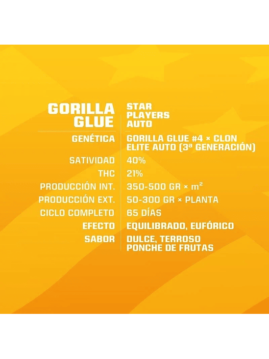 Gorilla Glue Auto Gk X12-Bsf 5