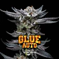 Gorilla Glue Auto Gk -Bsf (X12/X4/X2) - Miniatura 3