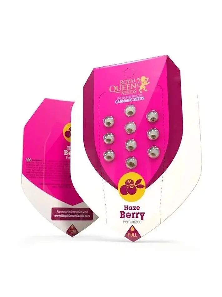 Haze Berry Fem -Royal Queen Seeds (X10/X3/X1) 5