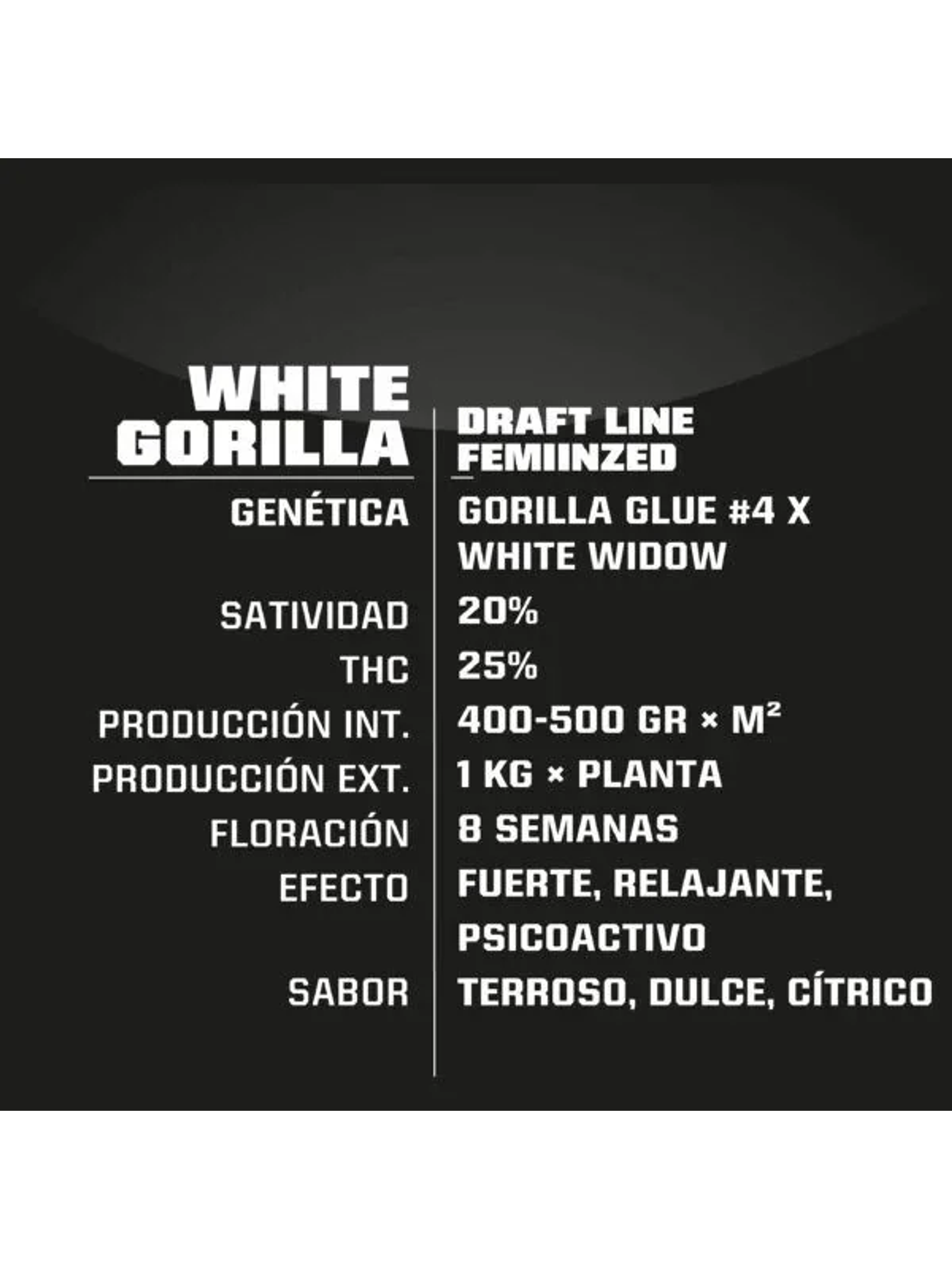 White Gorilla Fem -Bsf (X12/X4/X2) 4