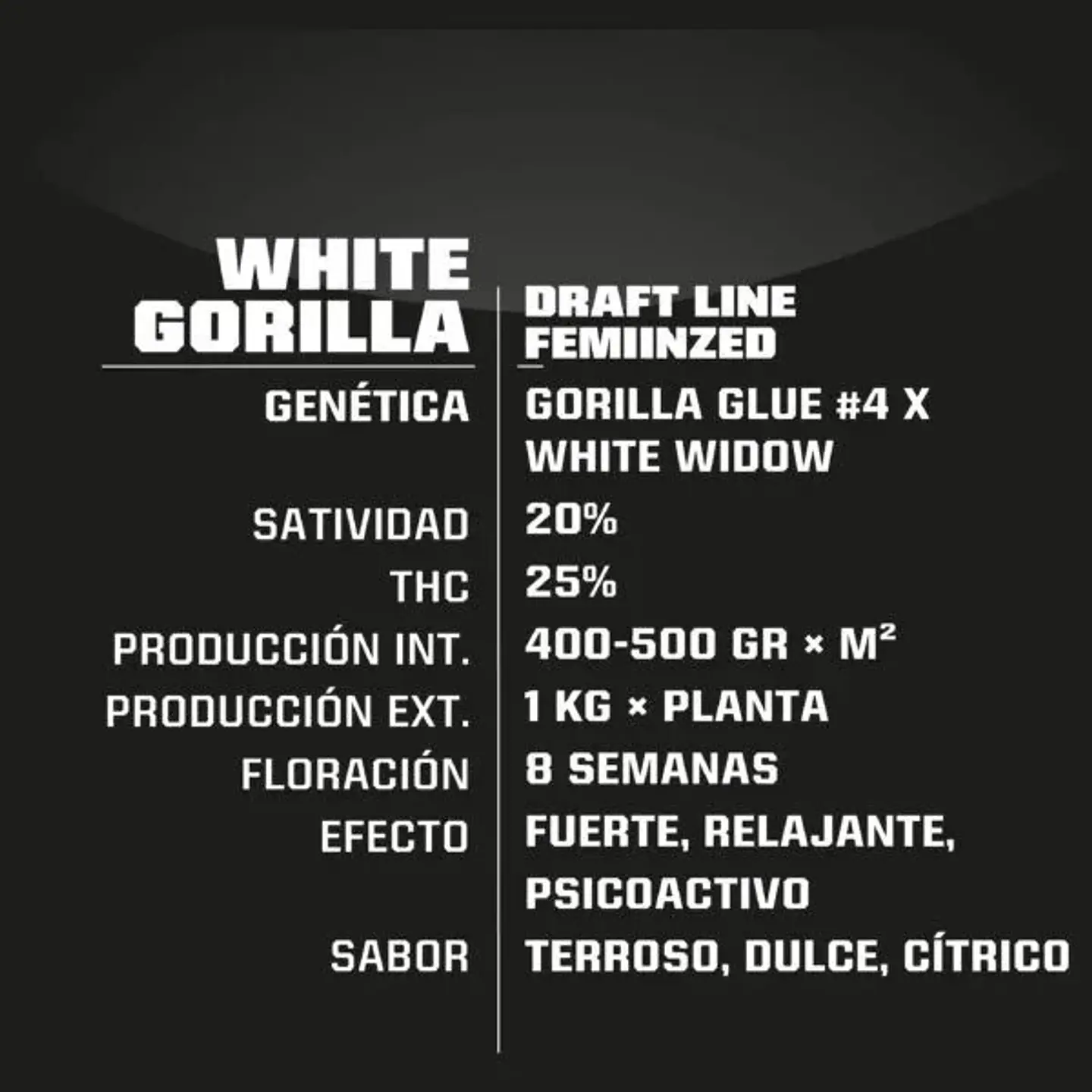 White Gorilla Fem -Bsf (X12/X4/X2) 4