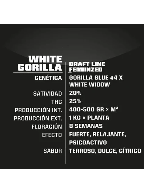White Gorilla Fem -Bsf (X12/X4/X2) 5