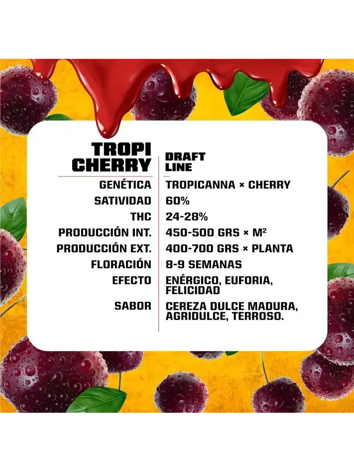 Tropi Cherry Fem -Bsf (X12/X7/X4/X2) 3