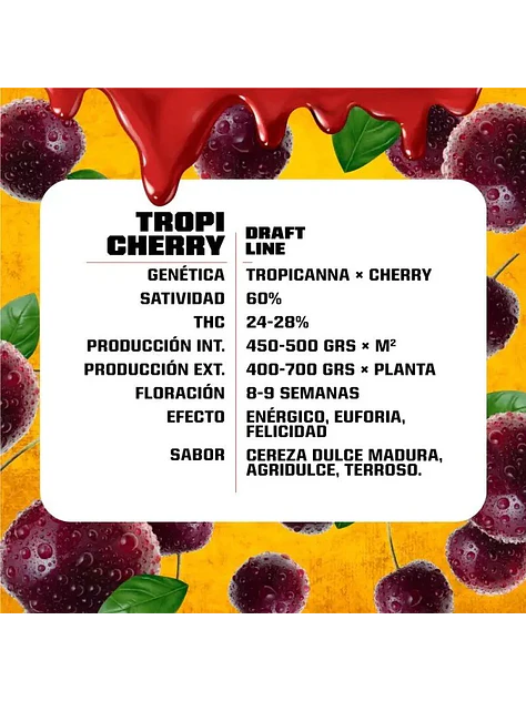 Tropi Cherry Fem -Bsf (X12/X7/X4/X2) 9