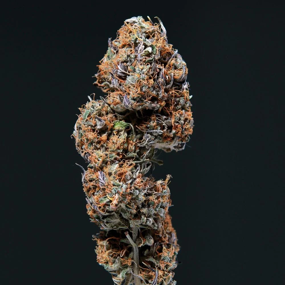 Deimos Auto -Buddha Seeds (X50/X3+1/X3) 3