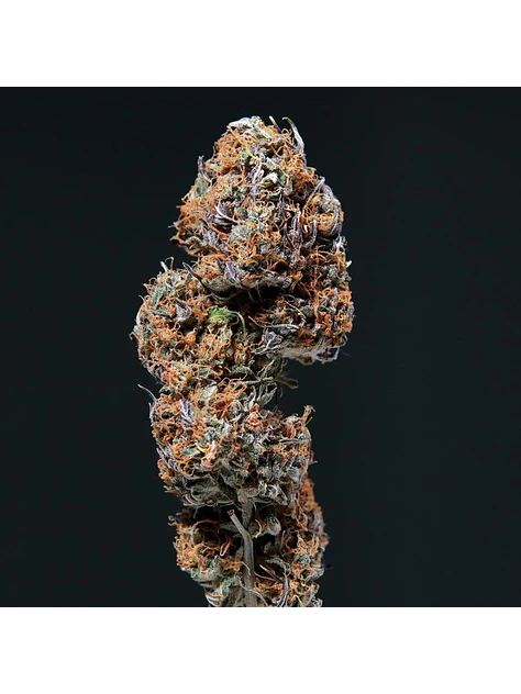 Deimos Auto -Buddha Seeds (X50/X3+1/X3) 3
