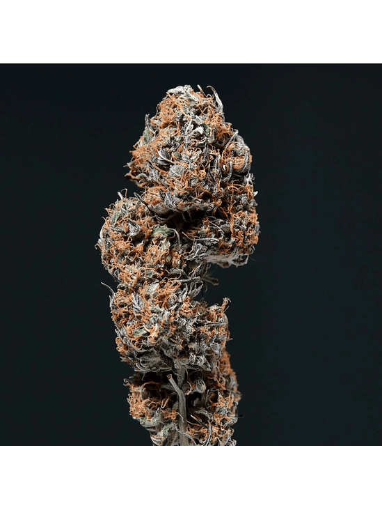 Deimos Auto X50-Buddha Seeds 3