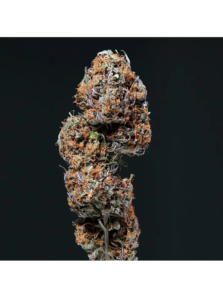 Deimos Auto -Buddha Seeds (X50/X3+1/X3) 3