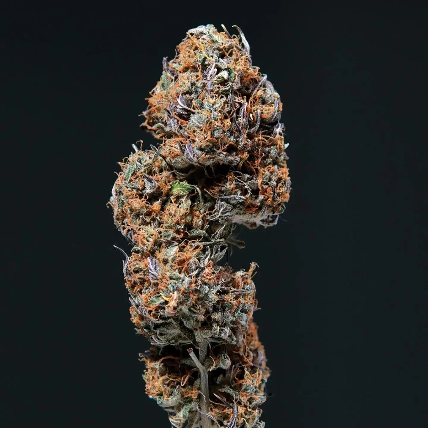 Deimos Auto -Buddha Seeds (X50/X3+1) 3