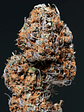 Deimos Auto X50-Buddha Seeds - Miniatura 4