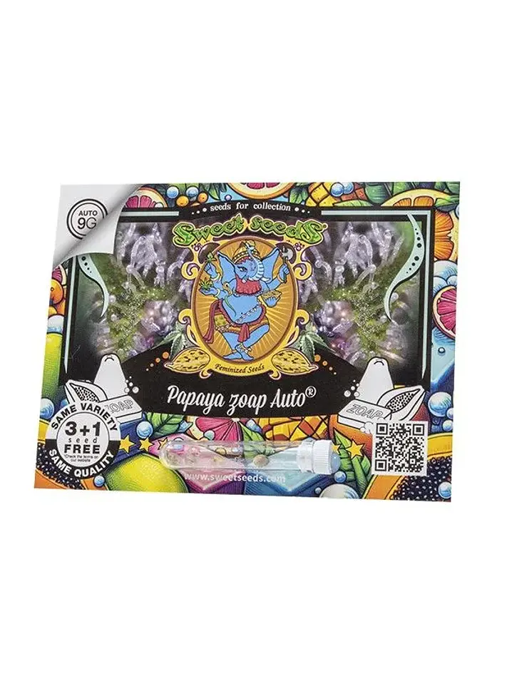 Papaya Zoap Auto -Sweet Seeds (X100/X25/X3+1) 2