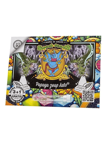 Papaya Zoap Auto -Sweet Seeds (X100/X25/X3+1) 4