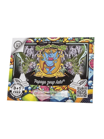Papaya Zoap Auto -Sweet Seeds (X100/X25/X3+1) 3
