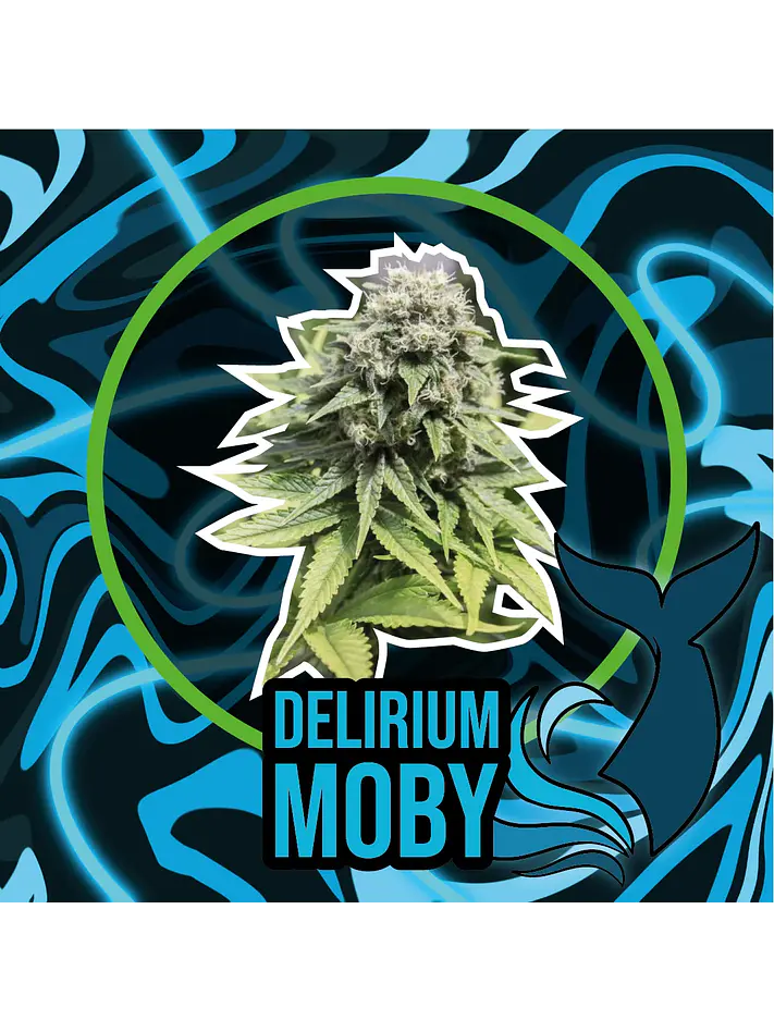 Delirium Moby Fast Version -Delirium Seeds (X4/X1) 3