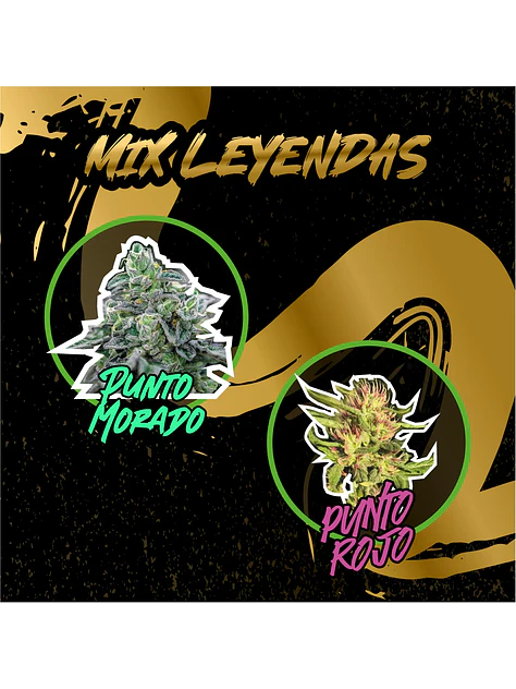 Mix Leyendas Fem -Delirium Seeds (X8/X4) 3