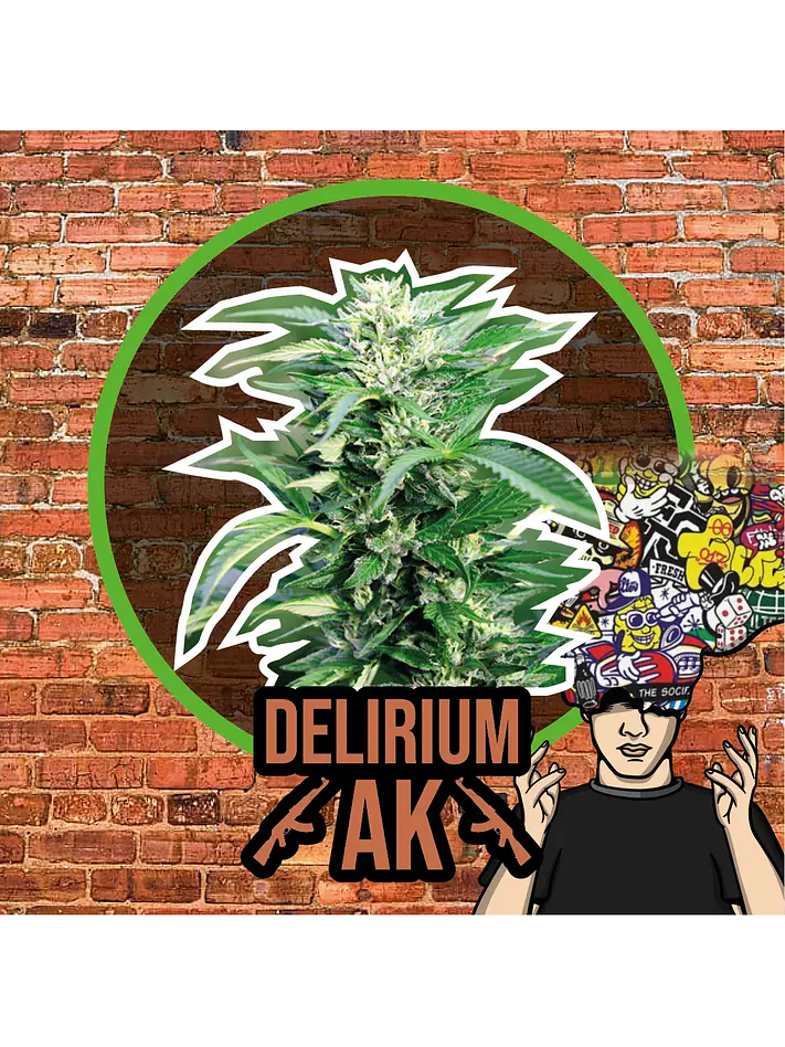 Delirium Ak Auto -Delirium Seeds (X4/X2/X1) 2