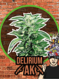 Delirium Ak Auto X4-Delirium Seeds - Miniatura 2