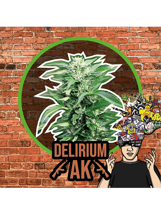 Delirium Ak Auto X4-Delirium Seeds 4