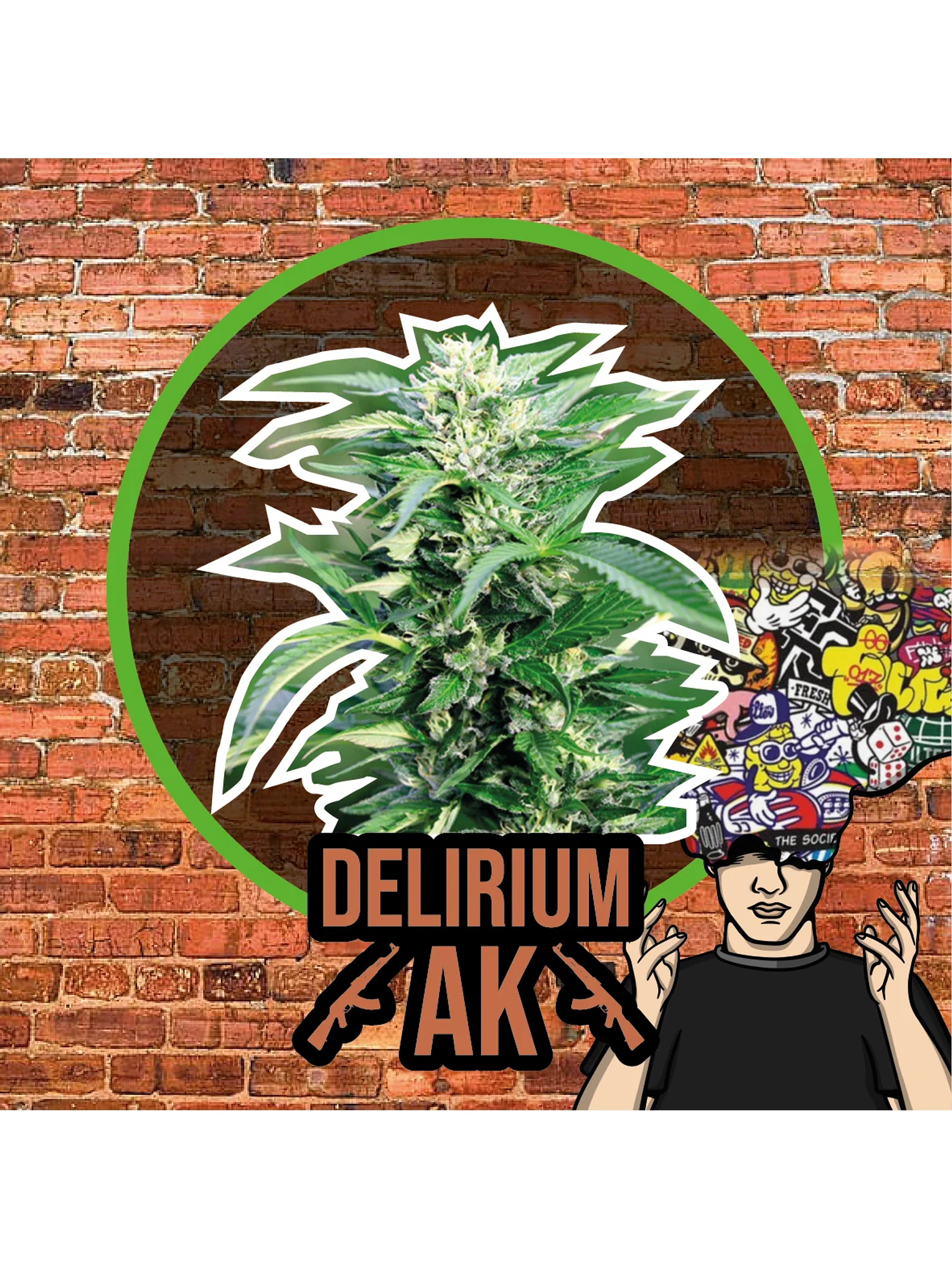 Delirium Ak Auto -Delirium Seeds (X4/X2/X1) 3