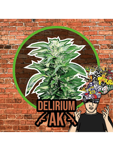 Delirium Ak Auto X4-Delirium Seeds 3