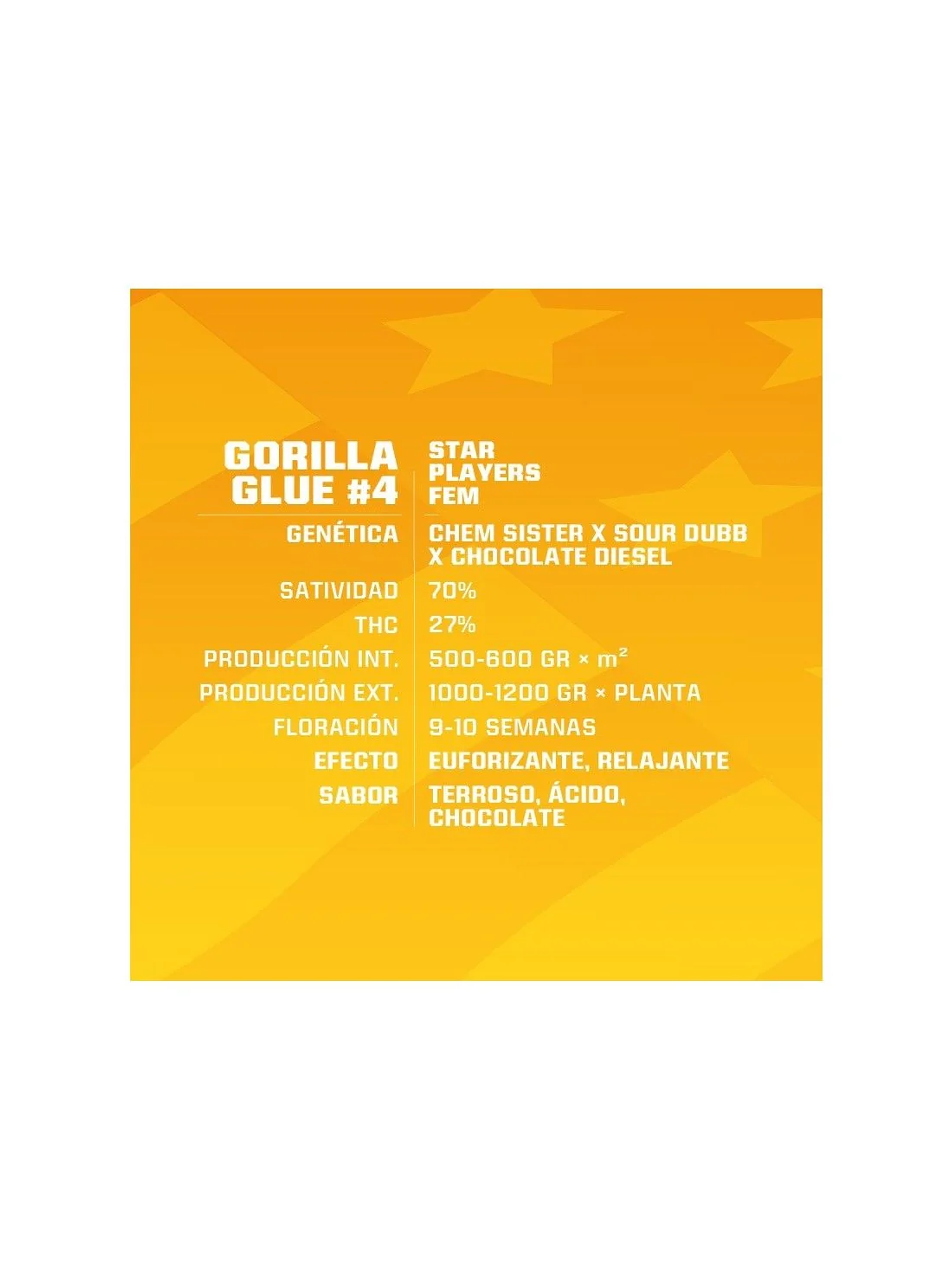 Gorilla Glue N°4 Fem -Bsf (X100/X12/X7/X4/X2) 4