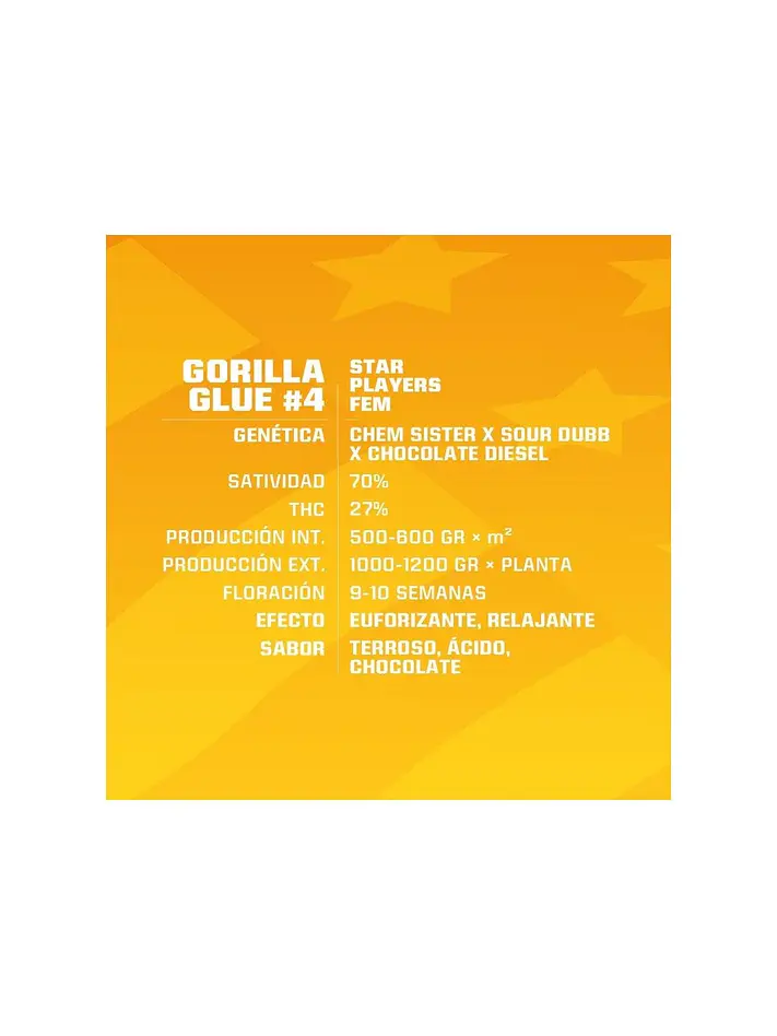 Gorilla Glue N°4 Fem -Bsf (X100/X12/X7/X4/X2) 4
