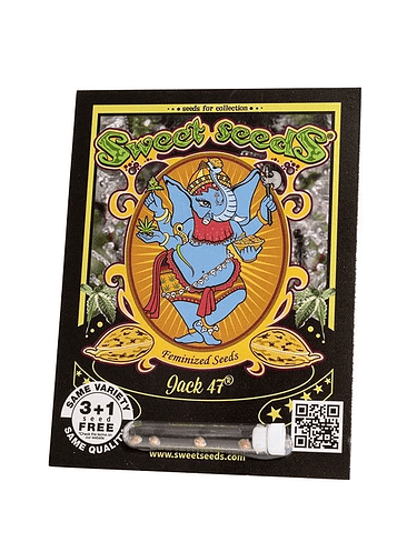 Jack 47 Fem X100-Sweet Seeds 2